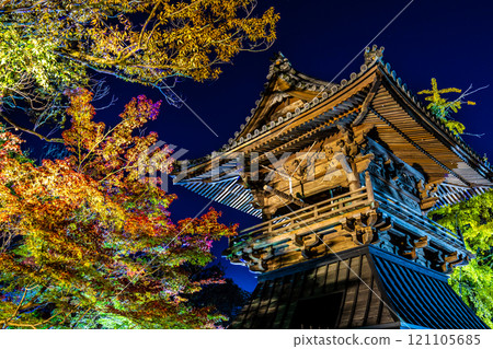 安勝寺的紅葉彩燈【長崎縣諫早市】 121105685