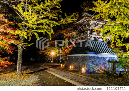 安勝寺的紅葉彩燈【長崎縣諫早市】 安勝寺的紅葉彩燈【長崎縣諫早市】 121105711