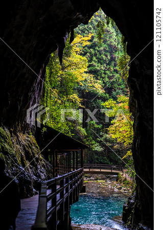 Akiyoshi Cave main entrance from inside the cave [Mine City, Yamaguchi Prefecture] 121105742