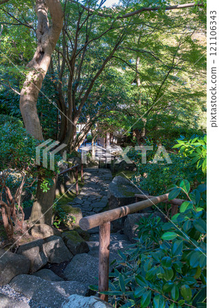 Autumn leaves at Hokokuji Temple in Kamakura 121106343