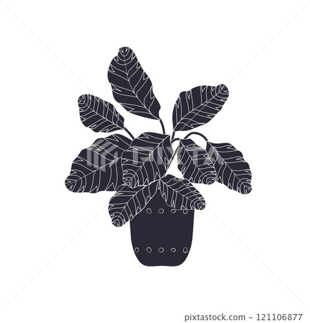 Black linocut silhouette of potted houseplant maranta 121106877