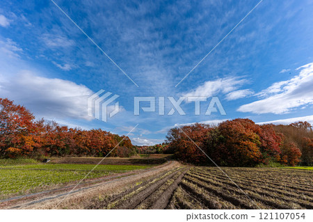 Satoyama and countryside in winter 121107054