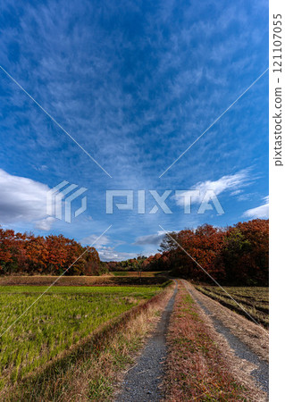 Satoyama and countryside in winter 121107055