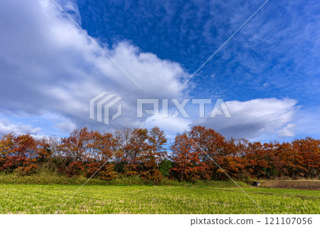Satoyama and countryside in winter 121107056