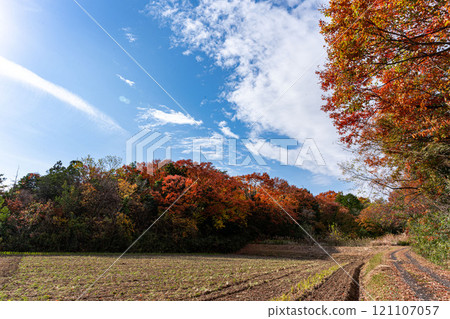 Satoyama and countryside in winter 121107057