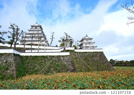 Shimabara Castle, Nagasaki Prefecture Shimabara Castle, Nagasaki Prefecture 121107158