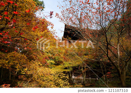 Three-storied pagoda surrounded by autumn leaves Three-storied pagoda surrounded by autumn leaves 121107310