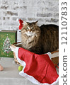 Christmas cat 121107833