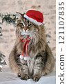 A cat dressed as Santa Claus 121107835
