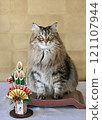 New Year's cat image 121107944