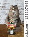 New Year's cat image 121107945