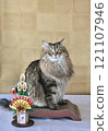 New Year's cat image 121107946