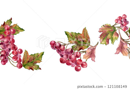Bunch of red viburnum berries watercolor seamless border isolated. Snowball tree berries on branch, leaves in botanical repeated background hand painted. Red berries hand drawn for textile, package. Bunch of red viburnum berries watercolor seamless border isolated. Snowball tree berries on branch, leaves in botanical repeated background hand painted. Red berries hand drawn for textile, package. 121108149