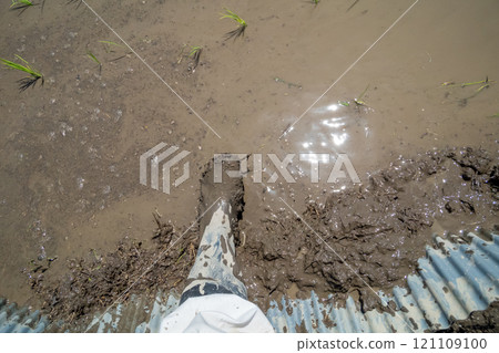 水稻種植 消防膠靴 腳 121109100