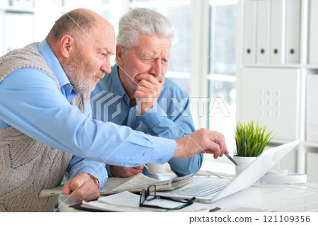 Portrait of two elderly men working on laptop in office Portrait of two elderly men working on laptop in office 121109356