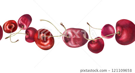 Sweet sour red cherry berries on stems, hand drawn in watercolor, scattered ripe drupes. Seamless banner garland illustration isolated on white. Restaurant, cafe dessert menu, wedding, farmers market 121109658