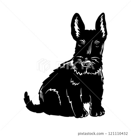 Puppy Scottish Terrier - Dog Breed, Puppy Breed Vector File, detailed vector Puppy Scottish Terrier - Dog Breed, Puppy Breed Vector File, detailed vector 121110432