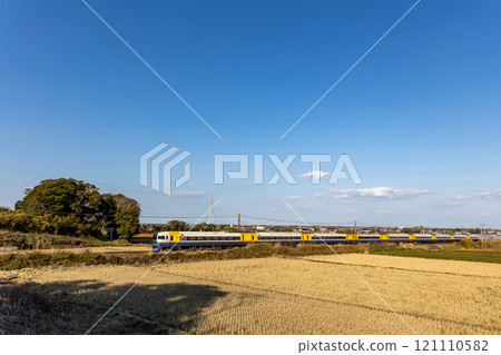 Shrine Forest and Shiosai Shrine Forest and Shiosai 121110582