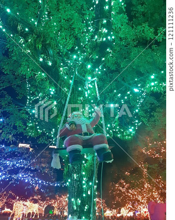 Santa in the tree, Santa object, ornament, Santa 121111236