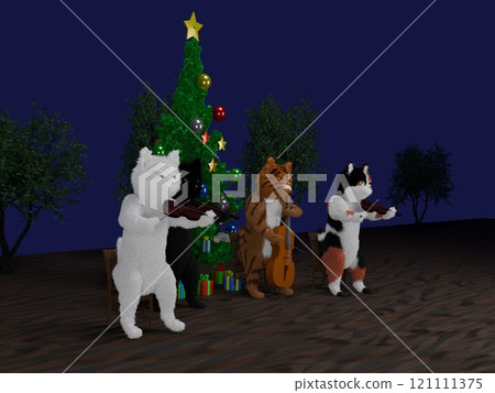 Christmas tree under the starry sky and cat string quartet 121111375
