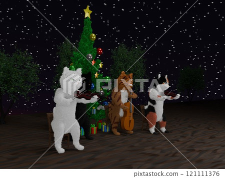 Christmas tree under the starry sky and cat string quartet Christmas tree under the starry sky and cat string quartet 121111376
