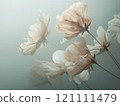 Rice-colored, Japanese-white, soft wildflowers, graceful and earthy in the mist, creating a kind of ethereal spirit, and a calm, calm atmosphere. 121111479
