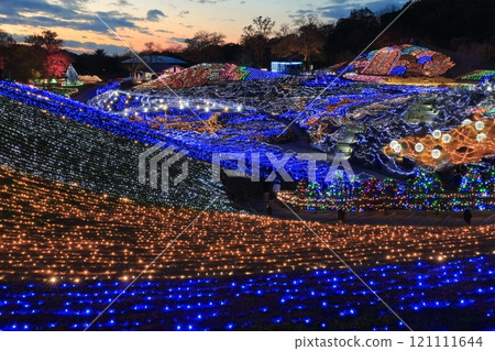 [香川縣]冬季國立贊岐滿王公園（燈飾） 121111644