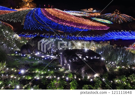 [香川縣]冬季國立贊岐滿王公園（燈飾） 121111648