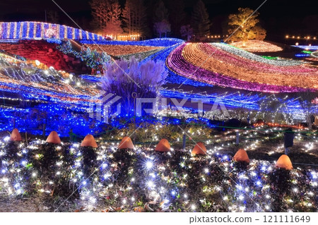 [香川縣]冬季國立贊岐滿王公園（燈飾） 121111649