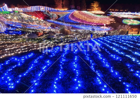 [香川縣]冬季國立贊岐滿王公園（燈飾） 121111650