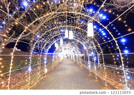 [Kagawa Prefecture] Winter National Sanuki Mannou Park (Illumination) 121111655