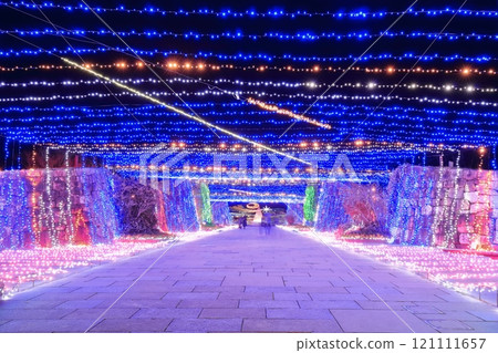 [Kagawa Prefecture] Winter National Sanuki Mannou Park (Illumination) 121111657