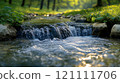 A peaceful river flowing through a lush green landscape, with clear water and vibrant green vegetation 121111706
