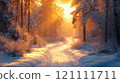A breathtaking scene of a snowy forest with tall evergreen trees frosted with snow and sparkling with sunlight. 121111711