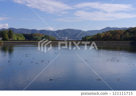 Lake view 121111715