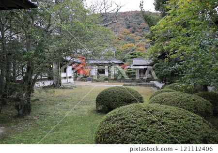 栗林公園工商振興中心庭院的紅葉 121112406