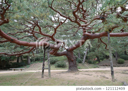 Special Place of Scenic Beauty "Ritsurin Garden" South Garden, Kobukaku's Red Pine 121112409