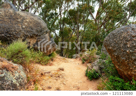 Secluded mountain hiking trail on Table Mountain on a sunny day. Mountainous walking path surrounded by green bushes and trees. Popular tourist attraction in Cape Town. Walking trails for exploration 121113080