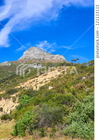Landscape view of Lions Head mountain in Cape Town, South Africa. Blue sky, clouds over famous hiking, trekking terrain with lush growing plants in remote area. Travel and tourism abroad and overseas 121113115