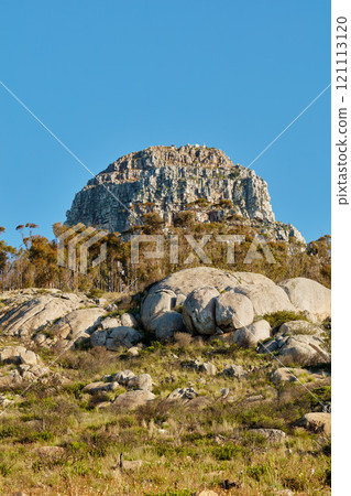 Landscape view and blue sky with copy space of Lions Head mountain in Cape Town, South Africa. Steep scenic famous hiking and trekking terrain with trees, bushes, shrubs and grass growing around it 121113120