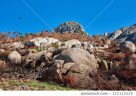 Rocks on a mountain after a bushfire with copyspace. Devastated by wildfire causing environmental damage in nature. Landscape ruined by disaster adding to global warming and climate change 121113123