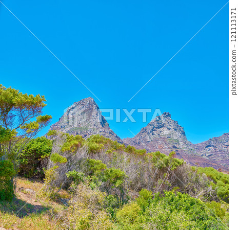Scenic landscape mountain view of the Twelve Apostles mountains in Cape Town, South Africa with blue sky and copy space. Famous hiking terrain with growing trees, shrubs, bushes. Travel and tourism 121113171