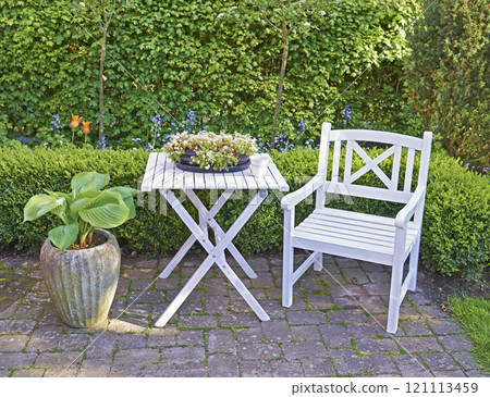 White wooden chair and table in a green garden with blossoming plants and copyspace. Tranquil landscape to relax and enjoy a cosy picnic in summertime. Outdoor patio in a quiet and secluded courtyard 121113459
