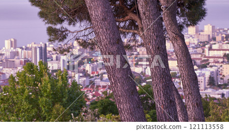 Beautiful landscape of Sea Point in Cape Town, South Africa. Scenic view of a coastal city surrounded by nature, lush green plants, and tall trees. Peaceful Cityscape for vacation or holiday Beautiful landscape of Sea Point in Cape Town, South Africa. Scenic view of a coastal city surrounded by nature, lush green plants, and tall trees. Peaceful Cityscape for vacation or holiday 121113558