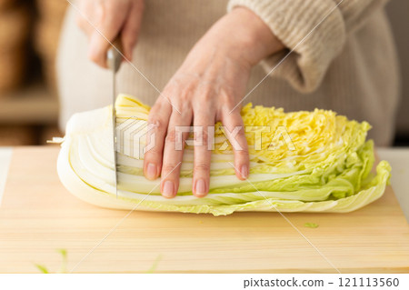 Woman's hands cutting Chinese cabbage 121113560