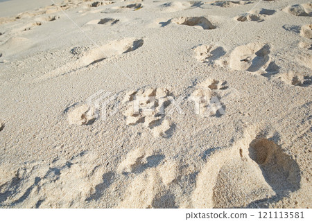 Footprints in beach sand along the coast on sunny day. Relaxing and peaceful landscape to enjoy and unwind for summer vacation or getaway. Dunes in the desert with grainy surface texture 121113581