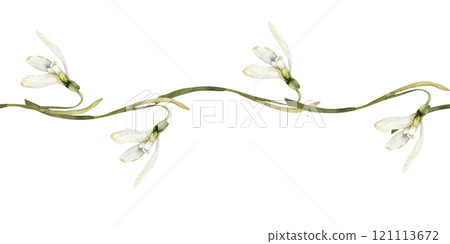Spring time floral seamless border with white petal snowdrops. Hand drawn floral banner with first flowers for home textile, fabric design, web and invitation festive decor. Spring time floral seamless border with white petal snowdrops. Hand drawn floral banner with first flowers for home textile, fabric design, web and invitation festive decor. 121113672
