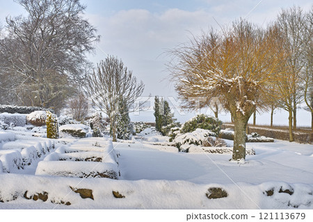 Frosted cemetery and frozen trees in winter fall. Foggy snowy cemetery, grave stones and trees covered in the winter snow. Landscape of a graveyard covered with snow on a wintery day in Denmark. Frosted cemetery and frozen trees in winter fall. Foggy snowy cemetery, grave stones and trees covered in the winter snow. Landscape of a graveyard covered with snow on a wintery day in Denmark. 121113679