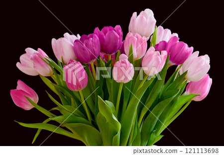 Bouquet of fresh tulips flowers on a table in empty house. Fresh summer pink flowers symbolising hope, love and growth. Bright flowers as a surprise gift or apology gesture against black copyspace 121113698