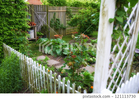 A beautiful garden in a backyard of a house or home with a wooden fence around it. Lush green botanical plants growing in a yard with a path and clay pots. Serene, peaceful, and tranquil outdoor A beautiful garden in a backyard of a house or home with a wooden fence around it. Lush green botanical plants growing in a yard with a path and clay pots. Serene, peaceful, and tranquil outdoor 121113730